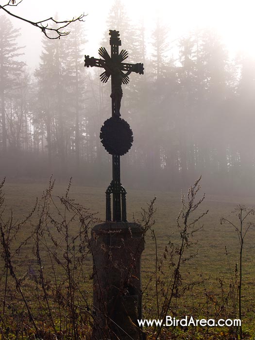 The iron cross, Paseka
