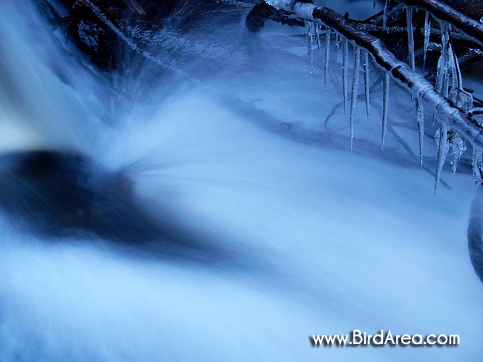 Winter chute of Vydra river, Povydří nature sanctuary