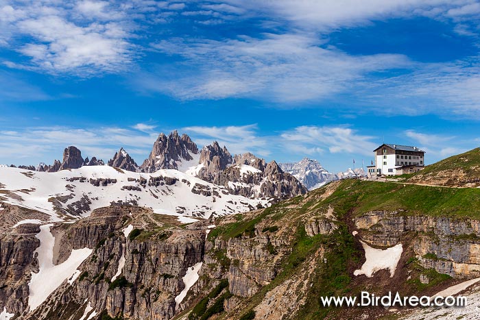 Rifugio Auronzo and Cadini di Misurina, Dolomites, South Tyrol, Italy, Europe