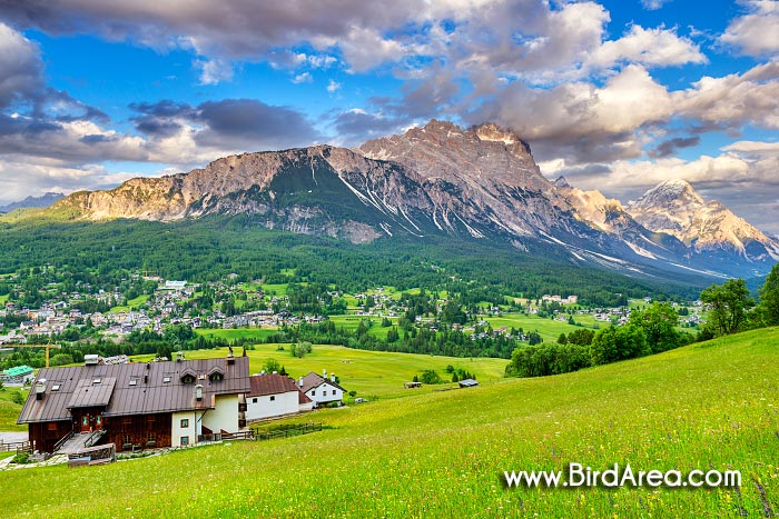 Cortina d'Ampezzo, Sorapiss and Antelao, Dolomites