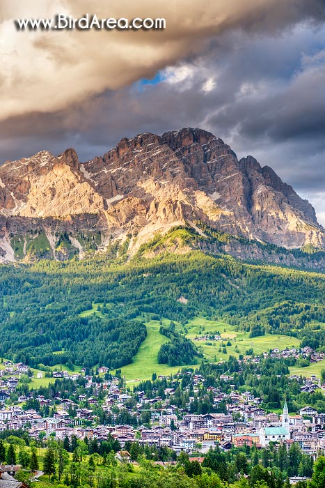 Cortina d'Ampezzo and Monte Cristallo