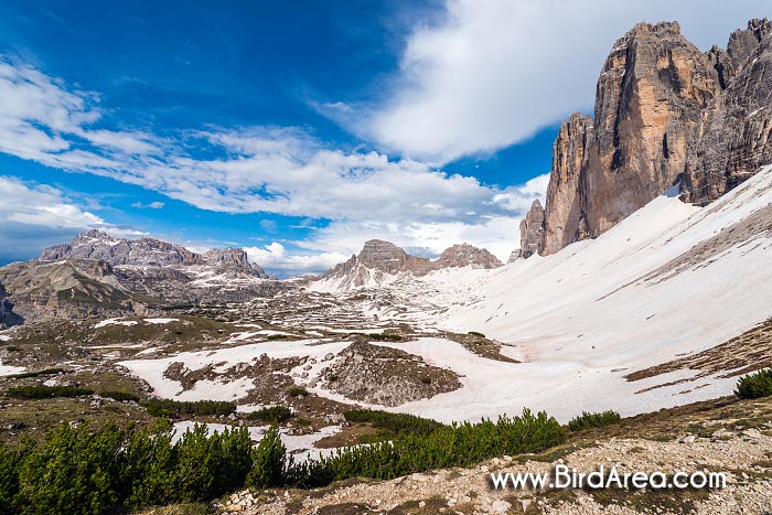 Lastron dei Scarperi (Schusterplatte), Monte Paterno (Paternkofel) a Tre Cime di Lavaredo (Drei Zinnen)