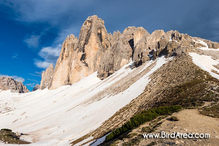 Tre Cime di Lavaredo (Drei Zinnen), pohled z horského sedla Col de Medo, Sextenské Dolomity