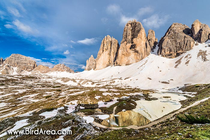 Monte Paterno (Paternkofel) a Tre Cime di Lavaredo (Drei Zinnen)