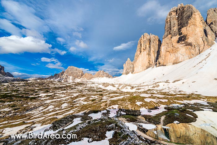 Monte Paterno (Paternkofel) and Tre Cime di Lavaredo (Drei Zinnen), view from Col Forcellina, Sexten Dolomites, Sesto Dolomites, South Tyrol, Italy, Europ