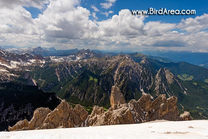 Mountains around Pragser Wildsee Lake (Lago di Braies), view from  Dürrenstein (Picco di Vallandro)