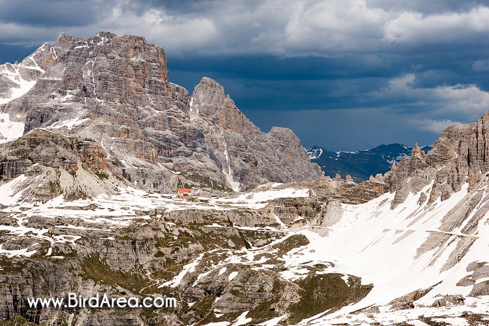 Rifugio Locatelli alle Tre Cime (Drei Zinnen Hütte) and mountain Lastron dei Scarperi (Schusterplatte)