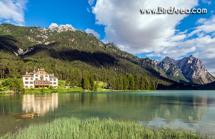 Toblacher See (Lago di Dobbiaco)