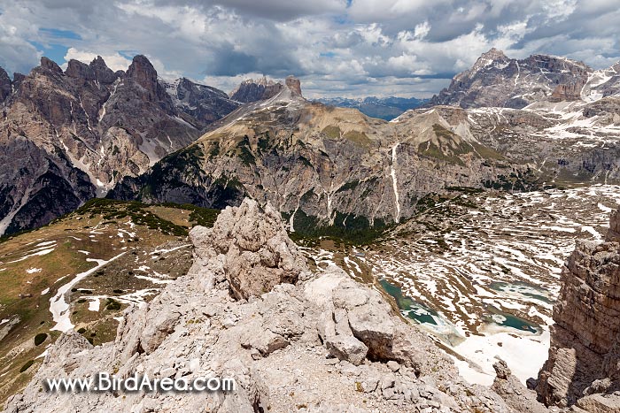 The mountains around the Valle di Rimbon, view from Zinnenkopf (Sasso di Landro) to Torre dei Scarperi (Schwabenalpenkopf), Sexten Dolomites, Sesto Dolomites, South Tyrol