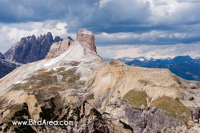 Torre dei Scarperi (Schwabenalpenkopf), view from Zinnenkopf (Sasso di Landro), Sexten Dolomites, Sesto Dolomites, South Tyrol