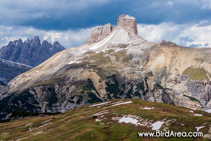 Torre dei Scarperi (Schwabenalpenkopf), view from Zinnenkopf (Sasso di Landro), Sexten Dolomites, Sesto Dolomites, South Tyrol