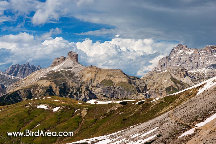 Torre dei Scarperi (Schwabenalpenkopf), pohled z Zinnenkopf (Sasso di Landro), Sextenské Dolomity