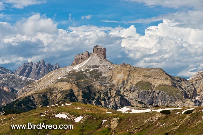 Torre dei Scarperi (Schwabenalpenkopf)