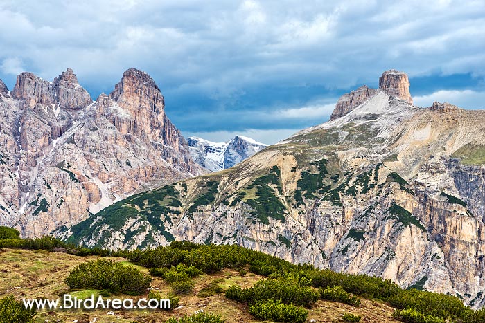 Croda dei Rondoi (Schwalbenkofel) a Torre dei Scarperi (Schwabenalpenkopf)