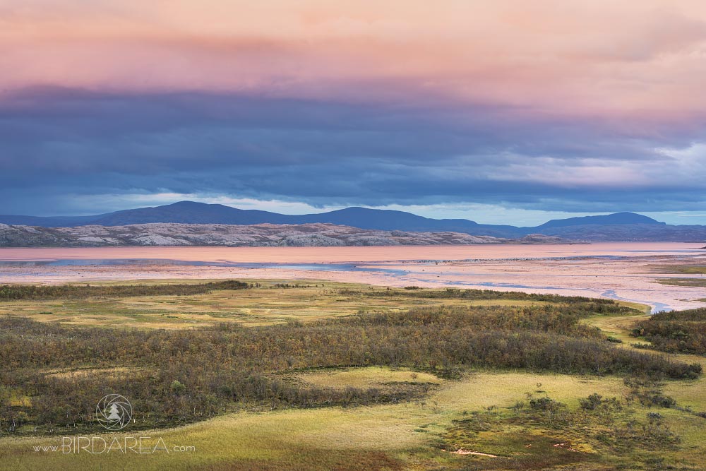 Stabbursnes Nature Reserve, Norsko, Norway