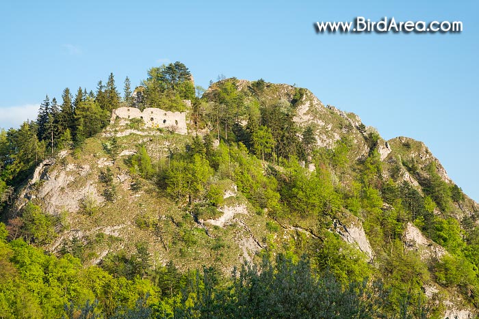 Hrad Vršatec a Přírodní rezervace Vršatské bradlá