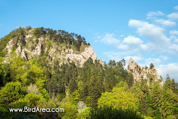 Nature Reserve Vrsatske rocks