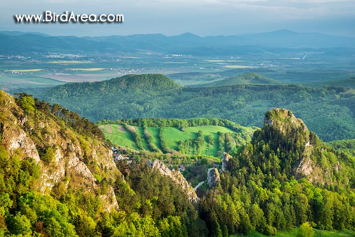 Hrad Vršatec v Přírodní rezervaci Vršatské bradlá a údolí řeky Váh