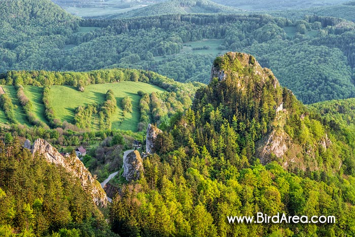 Castle of Vrsatec in Nature Reserve Vrsatske rocks