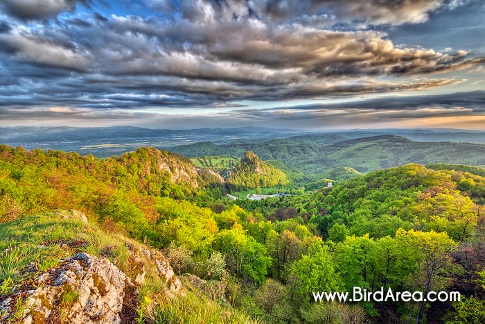 Castle of Vrsatec in Nature Reserve Vrsatske rocks, view from Chmelova hill