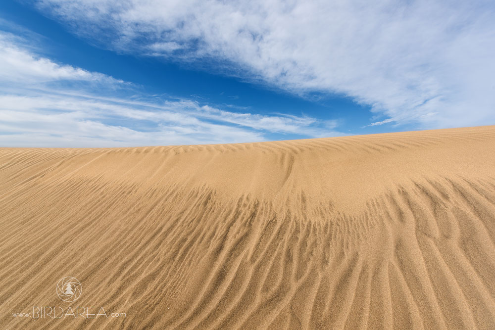 Maspalomas, Gran Canaria