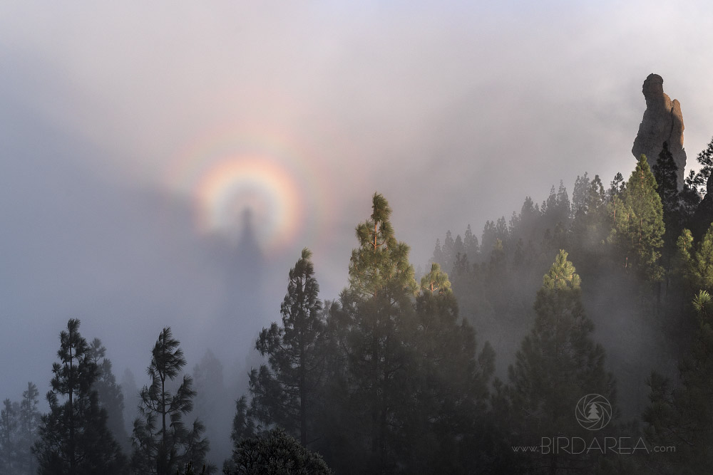 Brockenské strašidlo, Brocken's specter, Gran Canaria