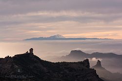 Gran Canaria, Tenerife