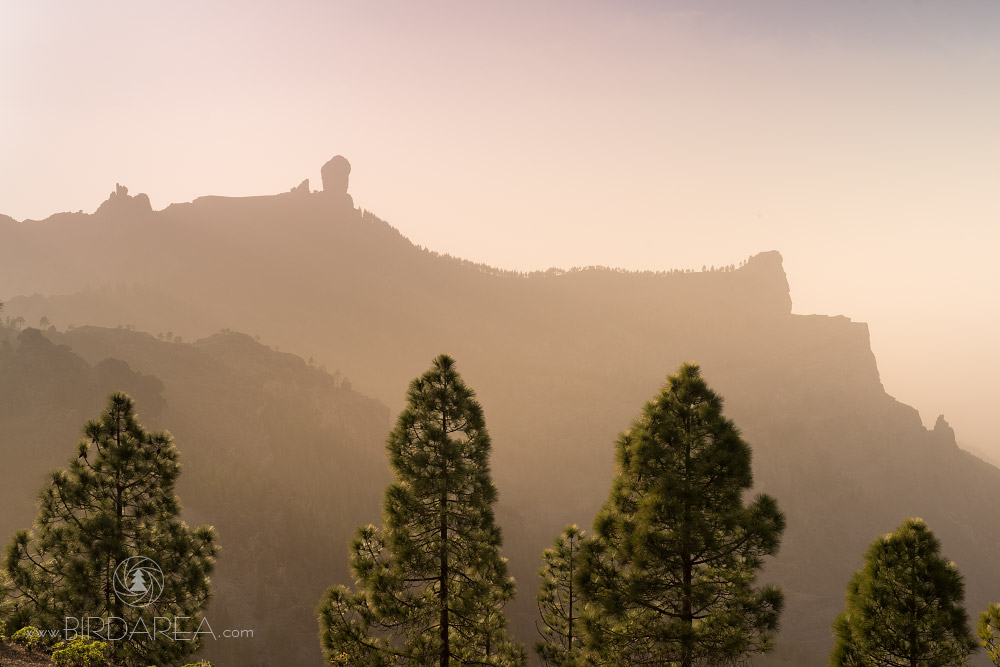 Roque Nublo, Gran Canaria