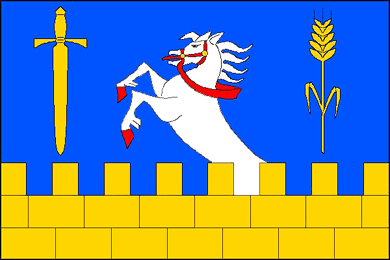 Vlajka obce Borotice