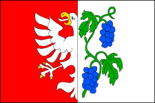 Vlajka města Miroslav